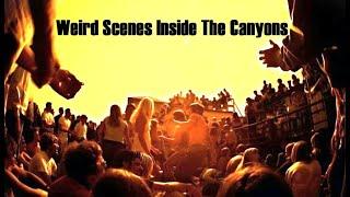 Weird Scenes Inside The Canyons