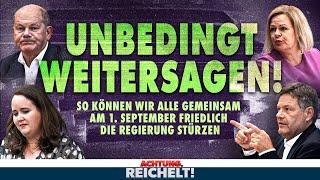 SO können wir friedlich die Regierung stürzen! | Achtung, Reichelt! vom 12.08.2024