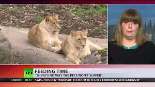 Feed our lions with your unwanted pets – Danish zoos to visitors